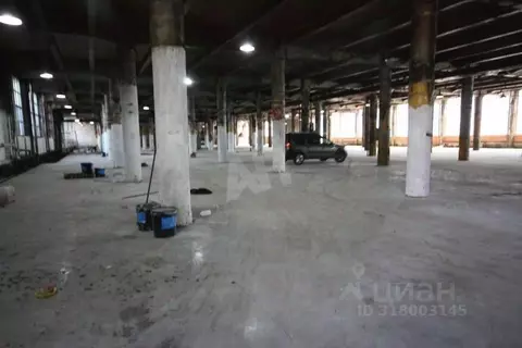 Производственное помещение в Московская область, Ногинск Богородский ...