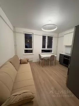 Студия Московская область, Домодедово городской округ, с. Ям ул. ...