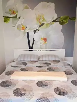 2-к кв. Псковская область, Псков наб. Реки Великой, 6 (56.0 м)