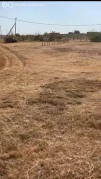 Участок в Сакский район, село Орехово (12 м)