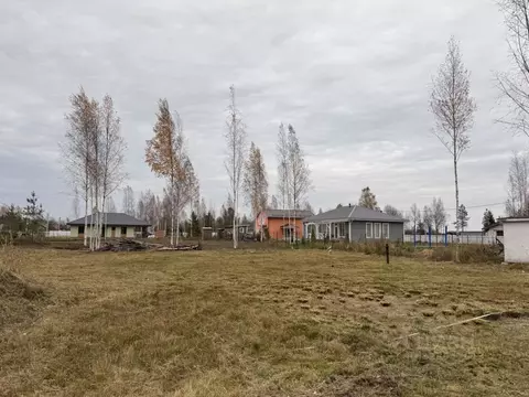 Участок в Ленинградская область, Ломоносовский район, Пениковское ...