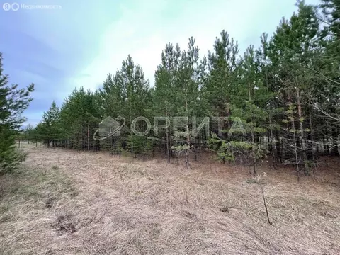 Участок в посёлок городского типа Тугулым, Сосновая улица, 19 (12.34 ...