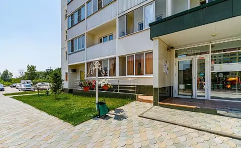 Студия Новосибирская область, Новосибирск ул. Виктора Уса, 4 (23.9 м)