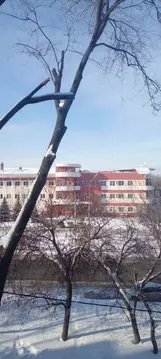 1-к кв. Самарская область, Самара Физкультурная ул., 121 (31.0 м)