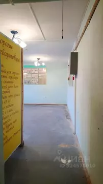 Помещение свободного назначения в Ханты-Мансийский АО, Нижневартовск ...