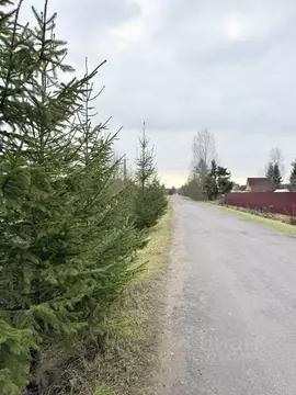 Участок в Ленинградская область, Гатчинский муниципальный округ, Чаща ...