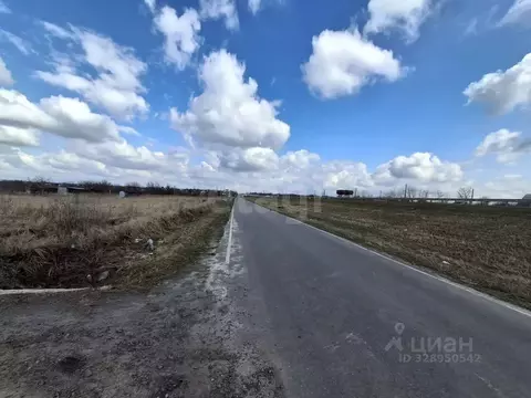 Участок в Курская область, Октябрьский район, Черницынский сельсовет, ...