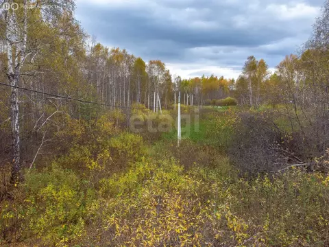 Участок в Тюмень, ДНТСН Зелёный Бор, Лесная улица (6 м)
