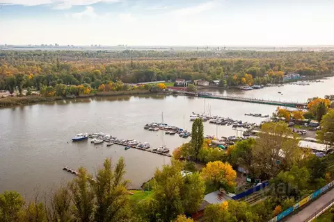 1-к кв. Ростовская область, Ростов-на-Дону Береговая ул., 117Бс4 (42.0 ...