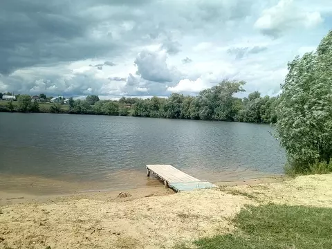 Участок в Рязанская область, Михайловский муниципальный округ, с. ...