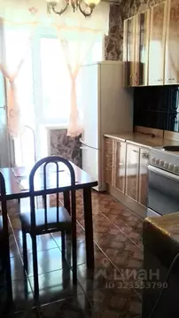 1-к кв. Новосибирская область, Новосибирск Красный просп., 99 (42.0 м)