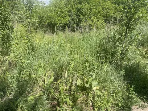 Участок в Белгородская область, Белгородский район, Северный городское ...