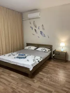 Студия Челябинская область, Челябинск Университетская Набережная ул., ...