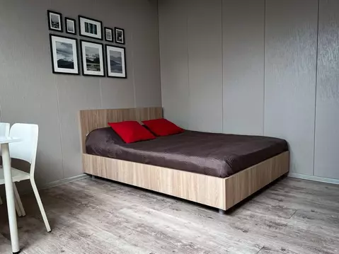 1-к кв. Ленинградская область, Выборг Выборгская ул., 4 (25.0 м)