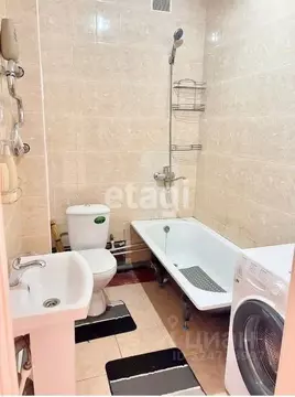 2-к кв. Амурская область, Благовещенск Амурская ул., 55 (53.4 м)