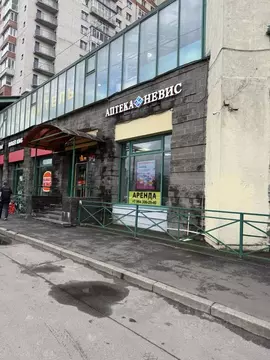 Торговая площадь в Санкт-Петербург просп. Просвещения, 31 (78 м)