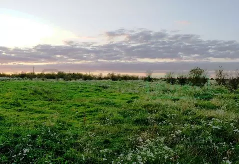 Участок в Калининградская область, Багратионовский муниципальный ...
