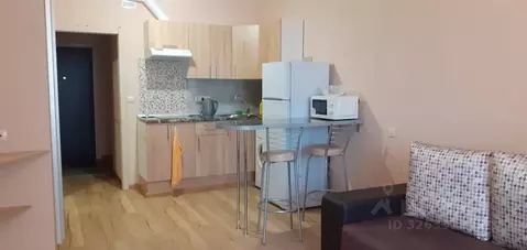 Студия Санкт-Петербург пос. Парголово, Заречная ул., 10 (32.0 м)