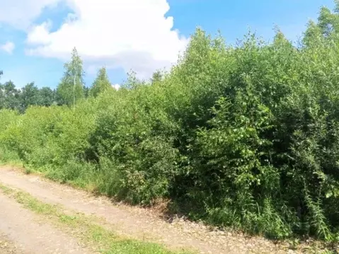 Участок в Московская область, Чехов  (16.85 сот.)