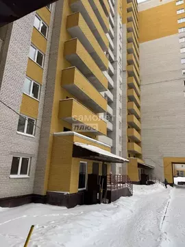 Студия Вологодская область, Вологда ул. Гагарина, 80Ак1 (24.4 м)