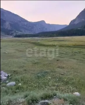 Участок в Алтай, Улаганский район, с. Чибит  (12420.0 сот.)