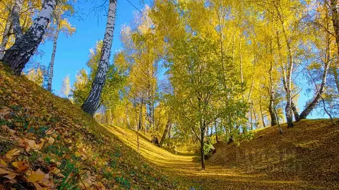 Участок в Тульская область, Заокский район, Демидовское муниципальное ...