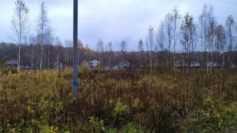 Участок в Московская область, Домодедово городской округ, с. Добрыниха ...