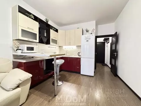 Студия Санкт-Петербург аллея Арцеуловская, 23к1 (24.0 м)