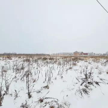 Участок в Ярославская область, Некрасовское рп  (85.1 сот.)