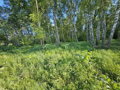 Участок в Московская область, Домодедово городской округ, д. Минаево, ...