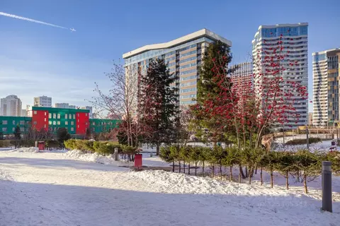 Свободной планировки кв. Новосибирская область, Новосибирск ул. ...