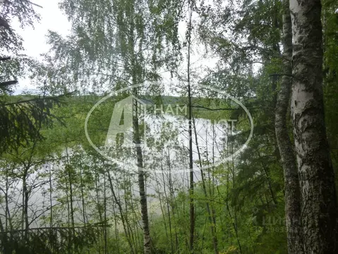 Участок в Пермский край, Кунгурский муниципальный округ, Согрино тер. ...