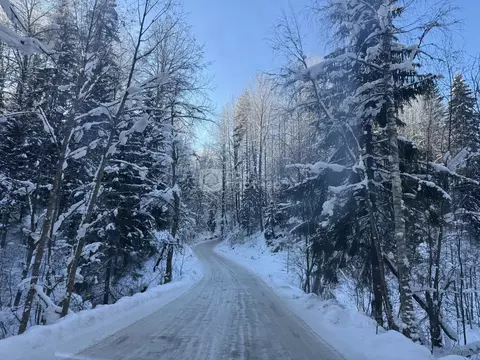 Участок в Ленинградская область, Всеволожский район, Куйвозовское ...