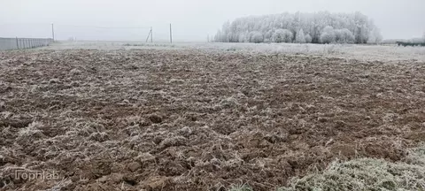 Участок в Марий Эл, Медведевский район, Азяковское с/пос, д. Шеклянур ...