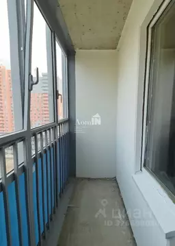 Студия Ленинградская область, Мурино Всеволожский район, ул. Графская, ...