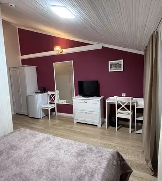 Комната Санкт-Петербург Английская наб., 46 (12.0 м)