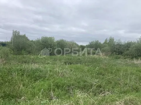 Участок в Тюменская область, Тюмень Садовое товарищество Липовый ...