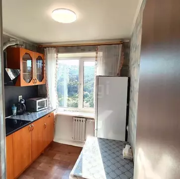 2-к кв. Камчатский край, Петропавловск-Камчатский ул. Академика ...