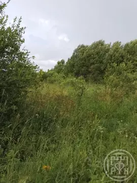 Участок в Ленинградская область, Лужский район, Заклинское с/пос, д. ...