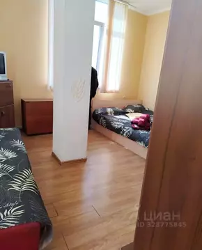 Студия Краснодарский край, Сочи Виноградная ул., 224/6 (30.0 м)