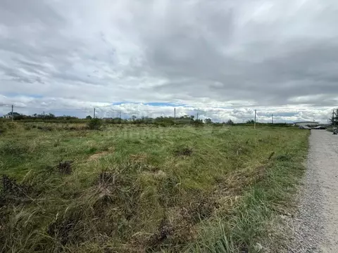 Участок в Калининградская область, Гурьевский муниципальный округ, ...