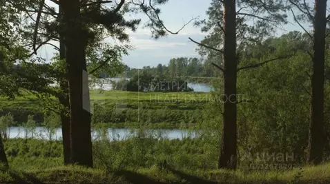 Участок в Тюменская область, Тюменский муниципальный округ, Чикчинское ...