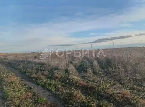 Участок в Тюменская область, Тюменский муниципальный округ, д. Большие ...