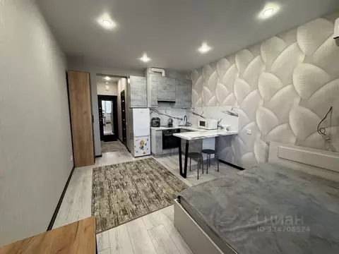 Студия Краснодарский край, Анапа Владимирская ул., 114к1 (22.5 м)