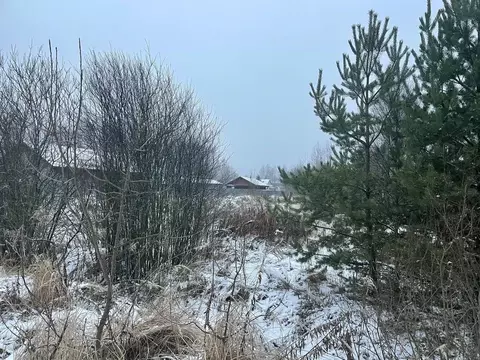 Участок в Московская область, Павлово-Посадский городской округ, д. ...