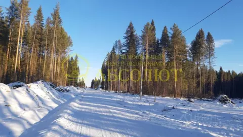 Участок в Свердловская область, Ревда ул. Ракитовая (8.5 сот.)