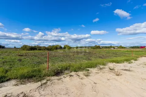 Участок в Свердловская область, Тугулымский муниципальный округ, с. ...