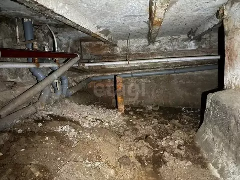 Помещение свободного назначения в Санкт-Петербург Старо-Петергофский ...