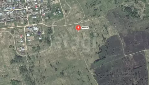 Участок в Костромская область, Нерехта Весенняя ул. (8.4 сот.)