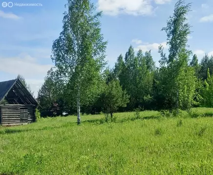 Участок в Завьяловский район, деревня Докша, Дачная улица (26 м)